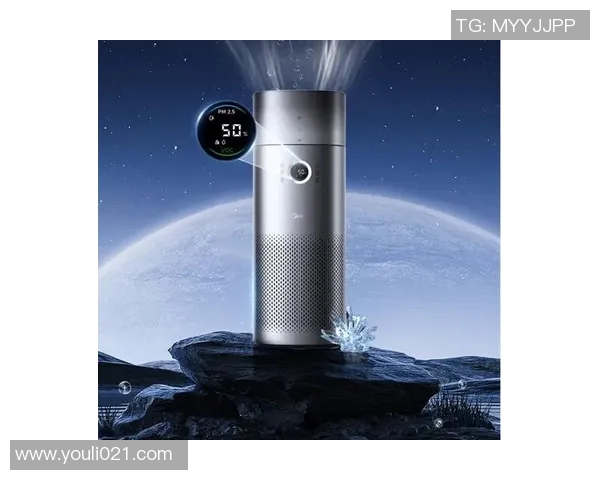 空气净化器的选购指南与使用技巧，打造健康清新室内环境的必备工具