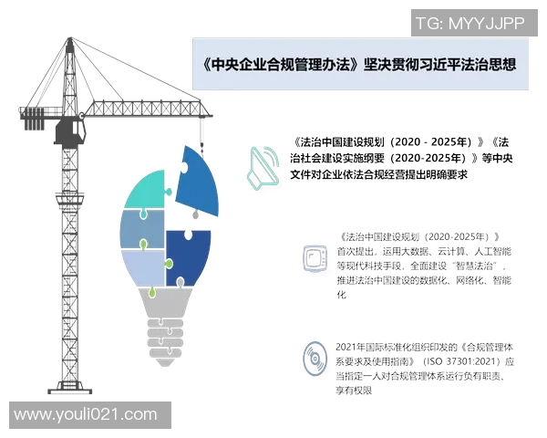 以法务为核心推动企业合规管理提升与风险防控策略分析