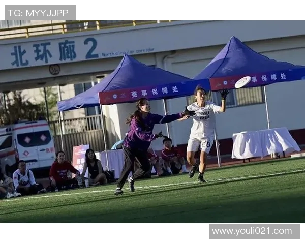 飞盘战术揭秘：西安飞盘队如何构建高效进攻体系与团队配合
