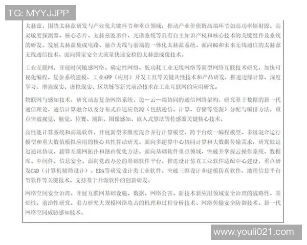 南京攀岩队的区域防守策略与技术深度解析